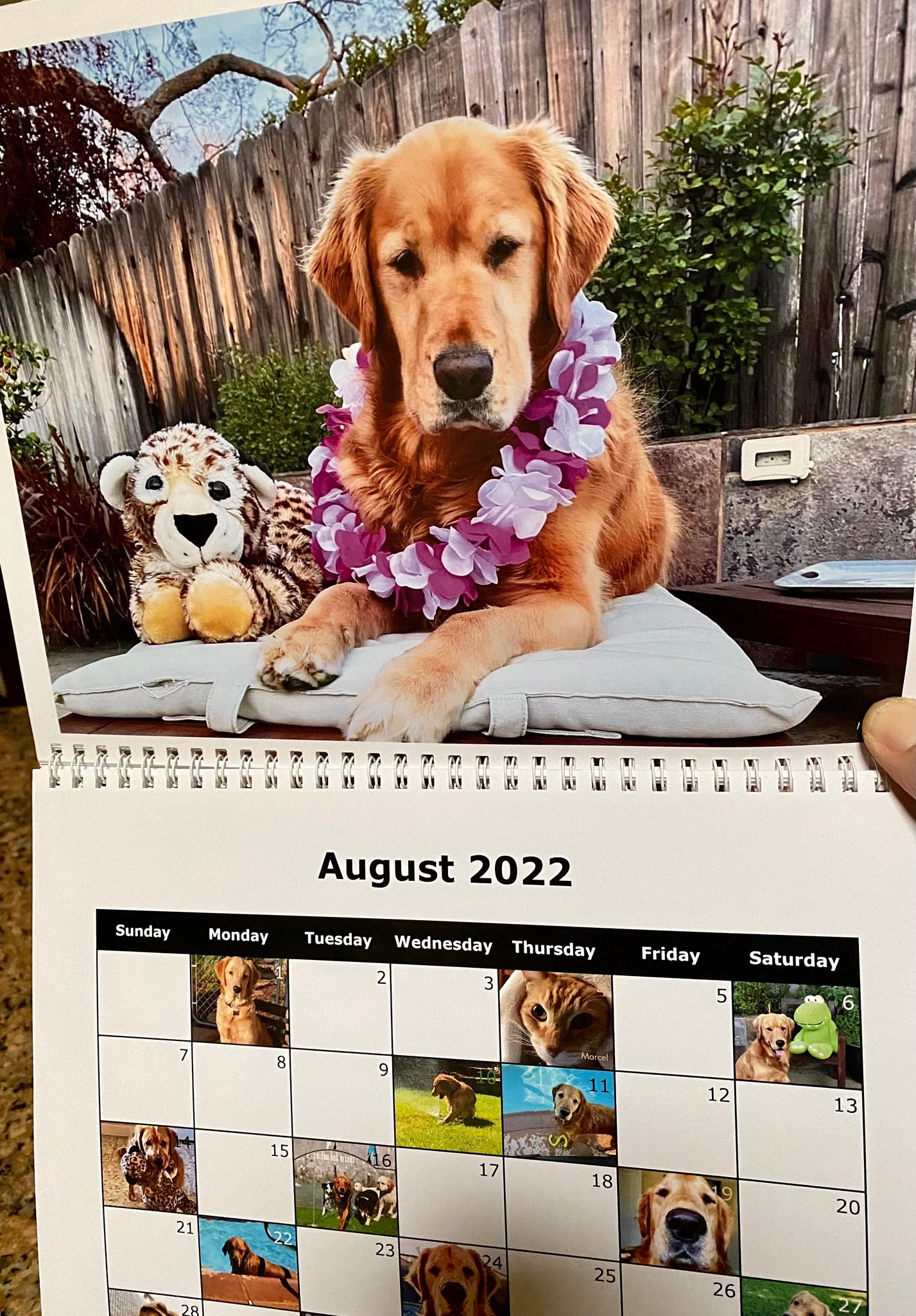 Henry’s 2022 Calendar